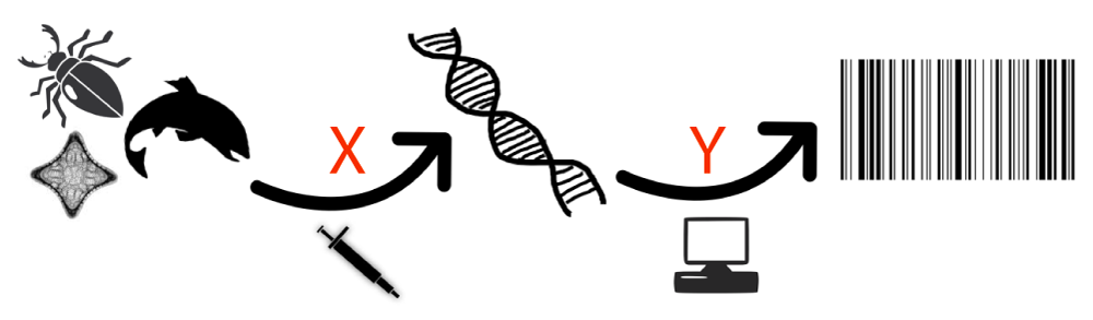 DNA barcoding overview