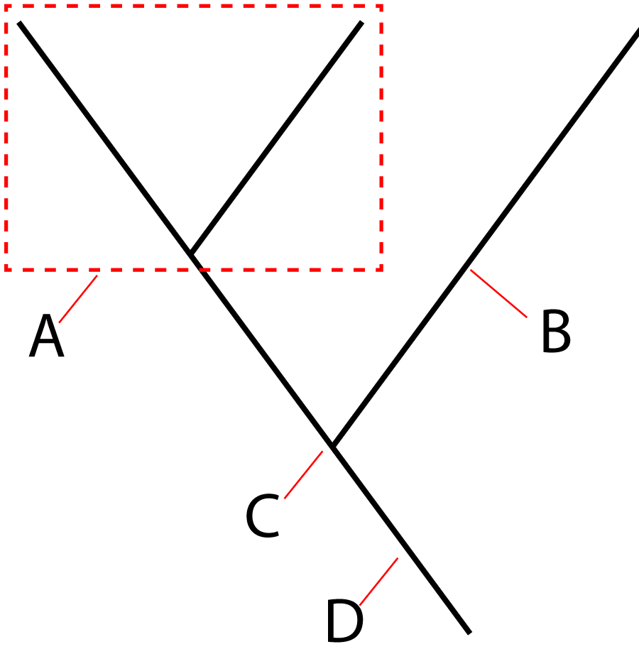 cladogram diagram