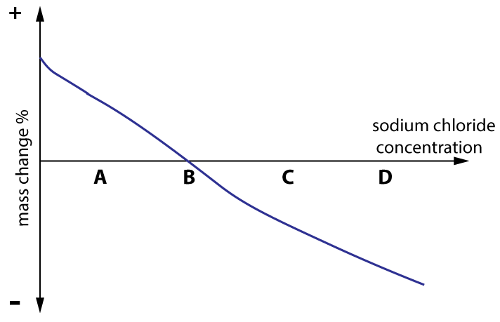 sweet potato mass increase graph