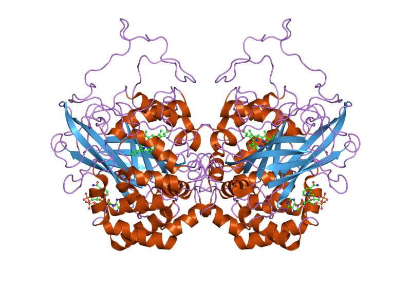 enzyme structure