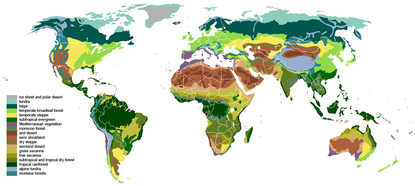 Global Vegitation Map