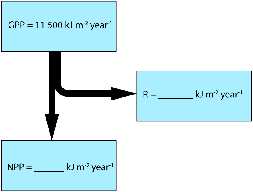 energy flow diagram with missing values