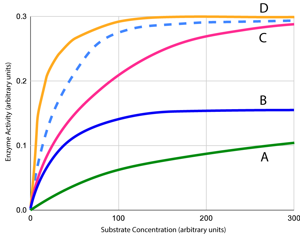 graph enzyme activity with substrate concentration