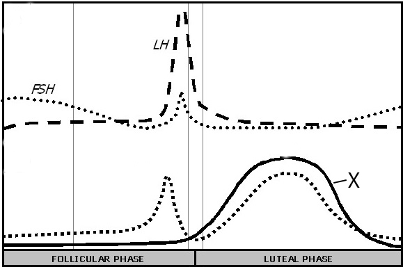 female reproductive cycle hormone graph