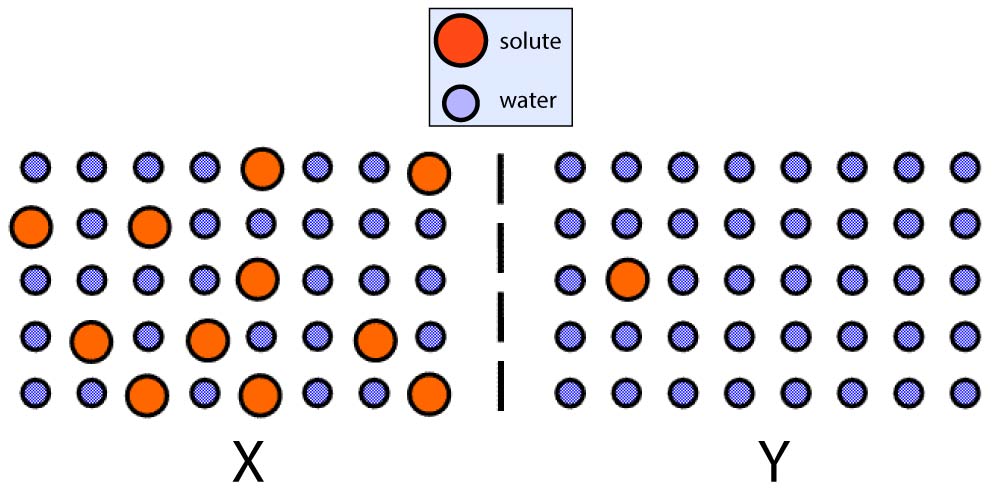 2 solutions seperated by semi-permeable membrane