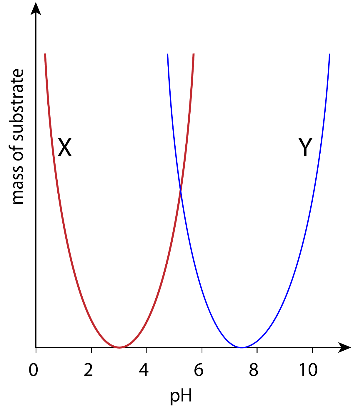 effect of pH on enzymes - graph