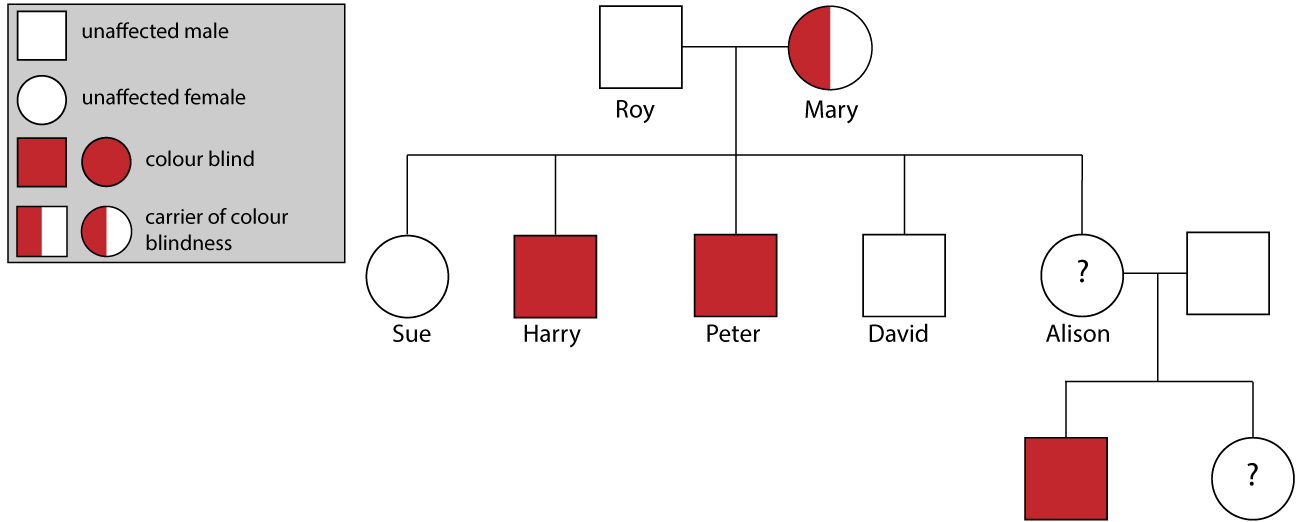 Inherited colour blindness diagram