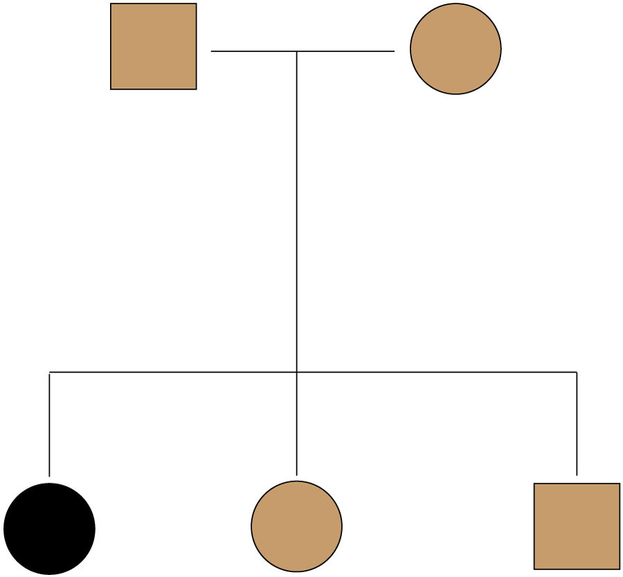 mouse genetics diagram