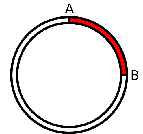 subcloning partial diagram