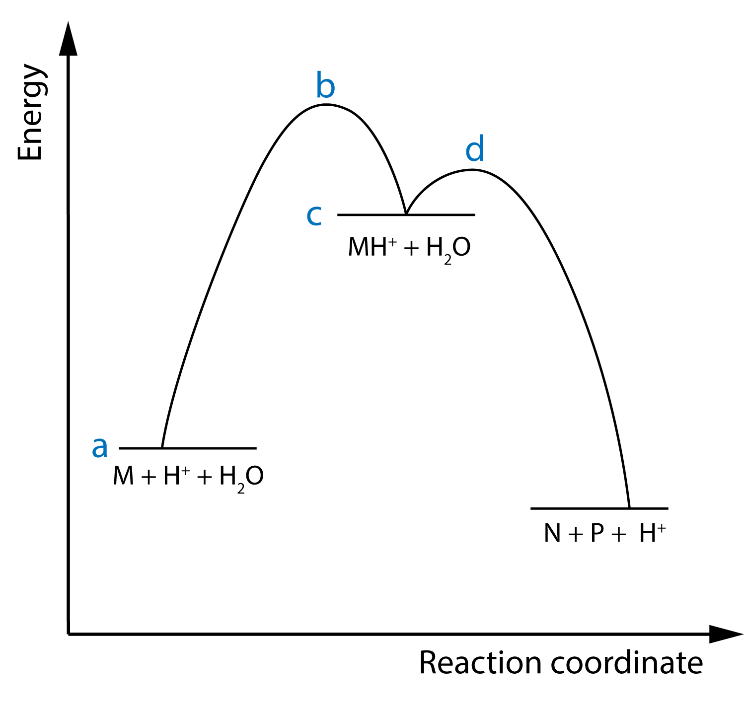 Energy graph profile during reaction