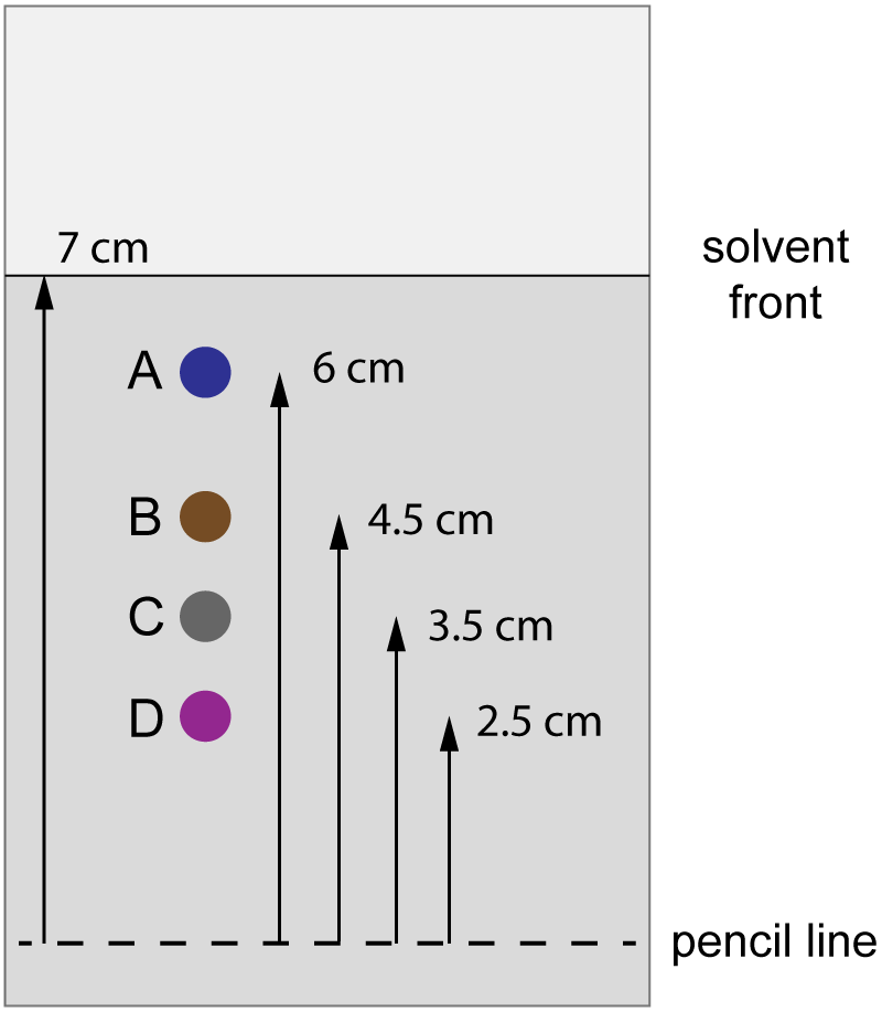 amino acid chromatography