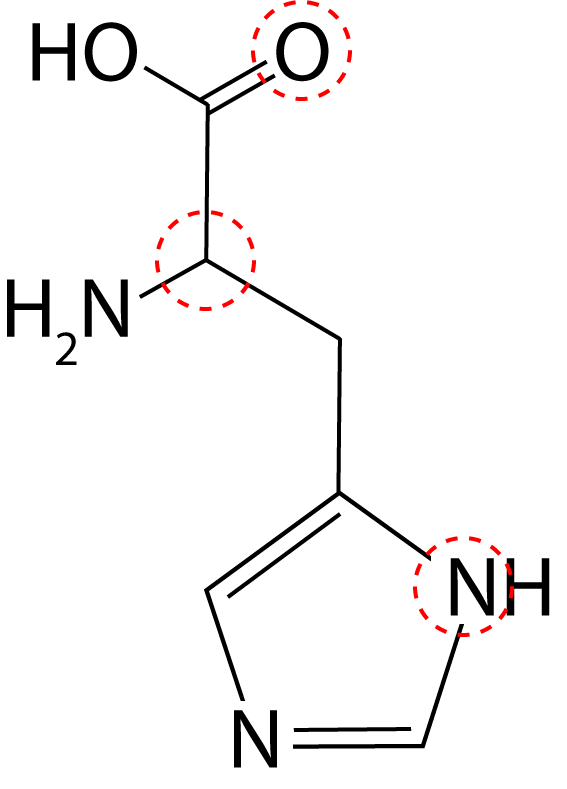 histidine molecule