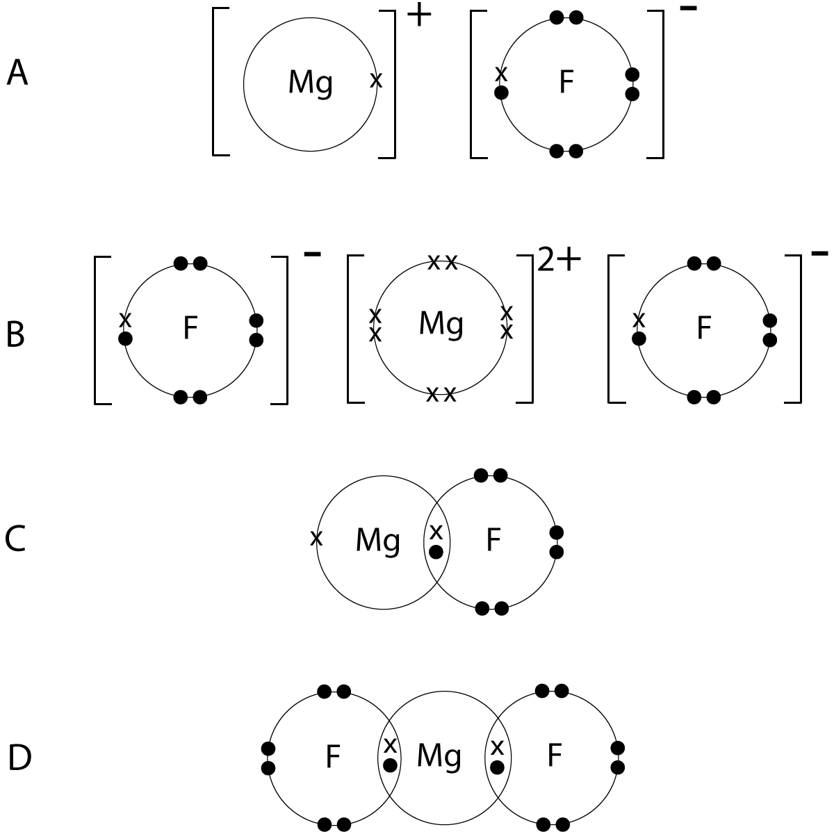 electrons magnesium fluoride x 4