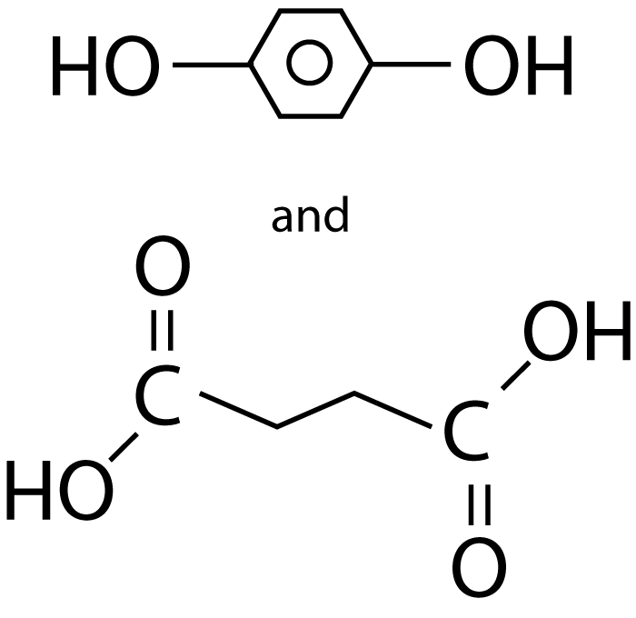 monomer units