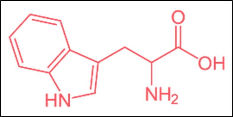 tryptophan molecule