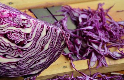 red cabbage