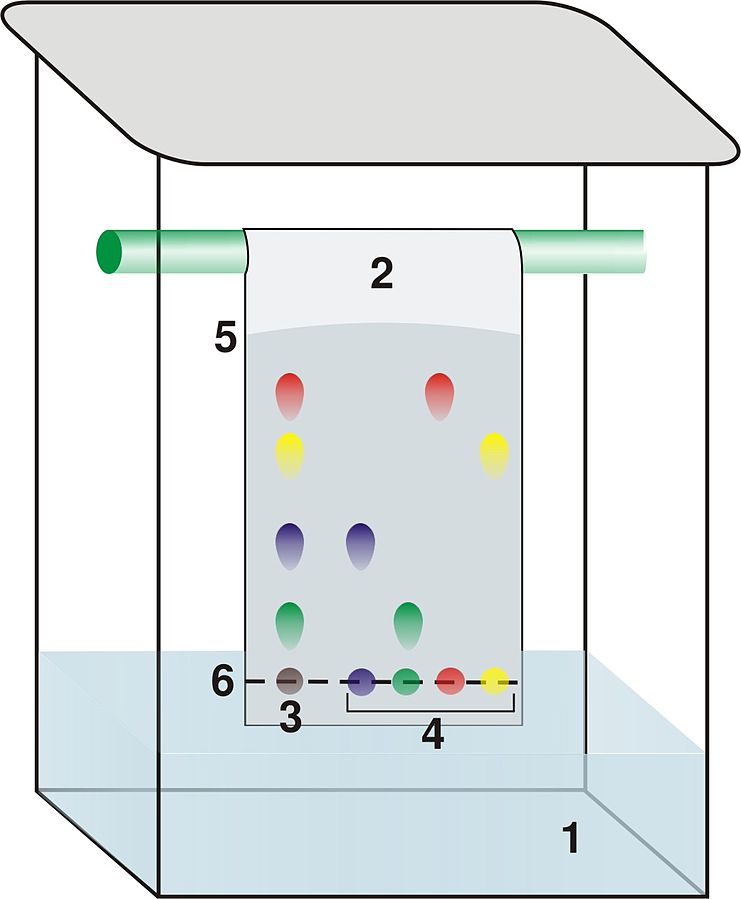 inks spreading through filter paper