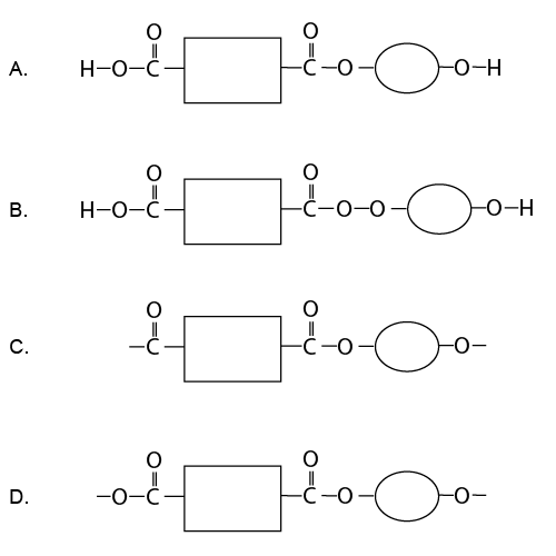 monomer blocks x4