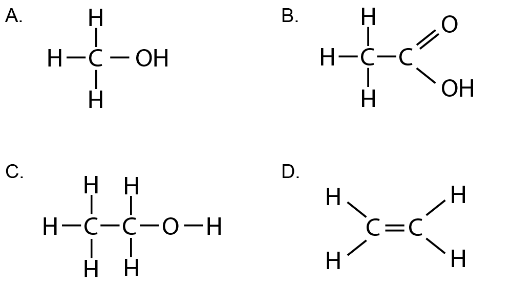 organic molecules x4