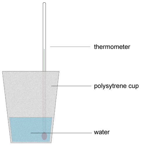 polystyrene cup