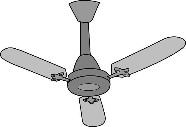 ceiling fan