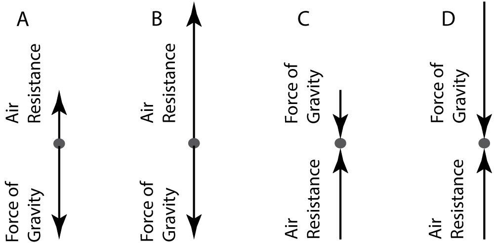 force arrows on 4 asteroids #2 